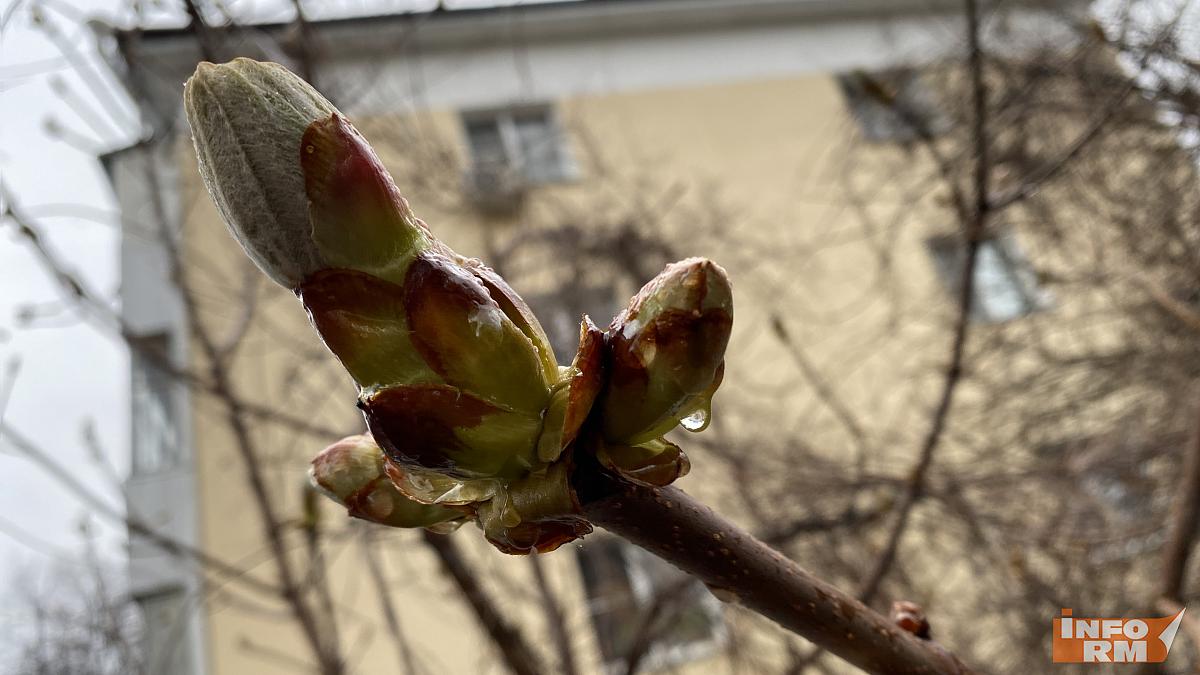 Жителей Мордовии ждёт холодная неделя