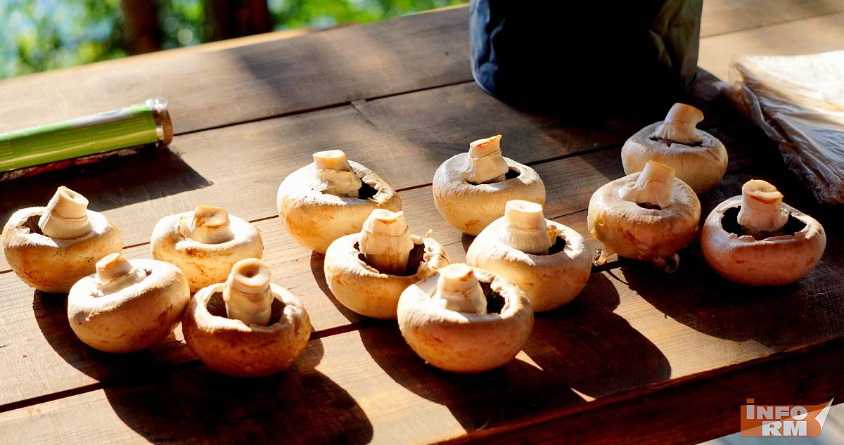 Первые весенние грибы: россиянам рассказали, как избежать отравления 