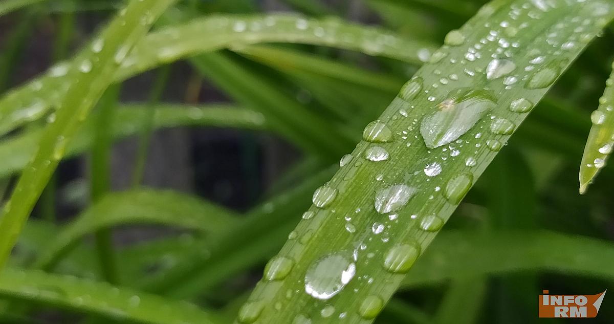 Россиян предупредили о штрафах за нескошенную траву 