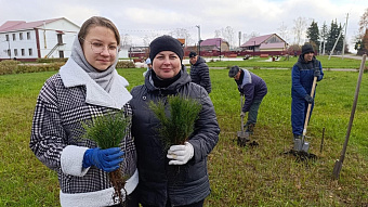 В Мордовии появилась ещё одна аллея Защитников Отечества