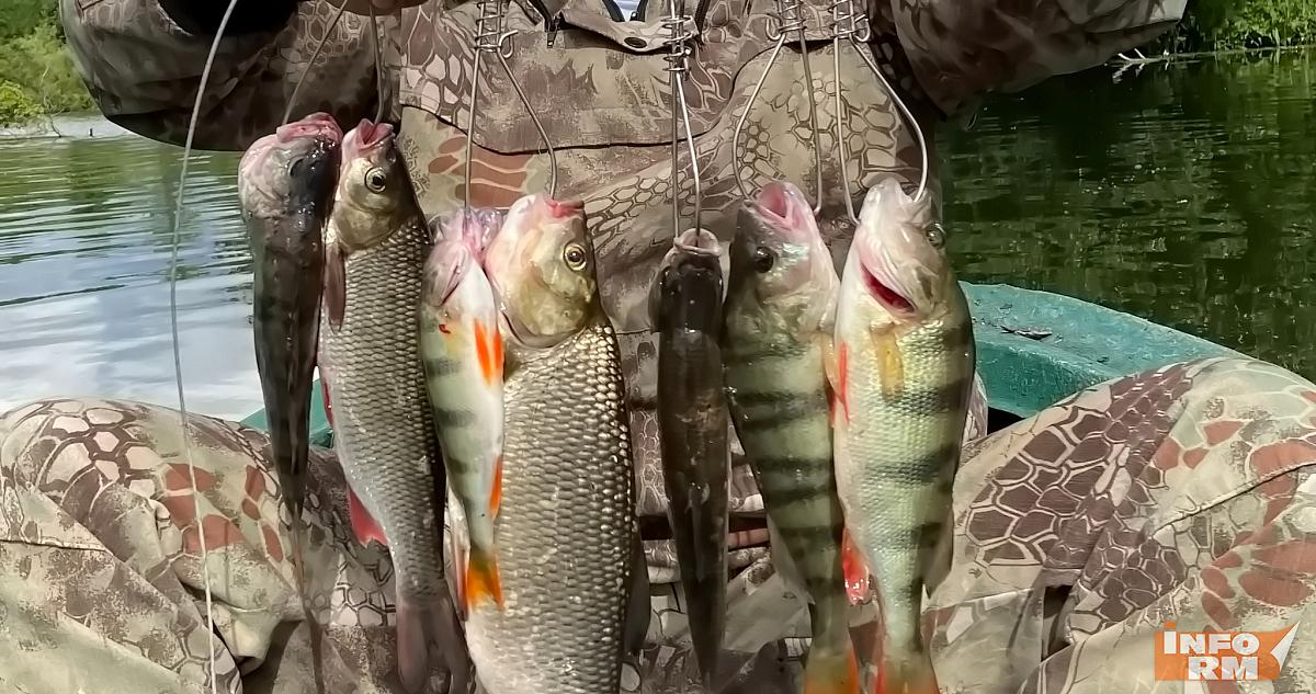 Нерестовый запрет начнёт действовать с 15 апреля 