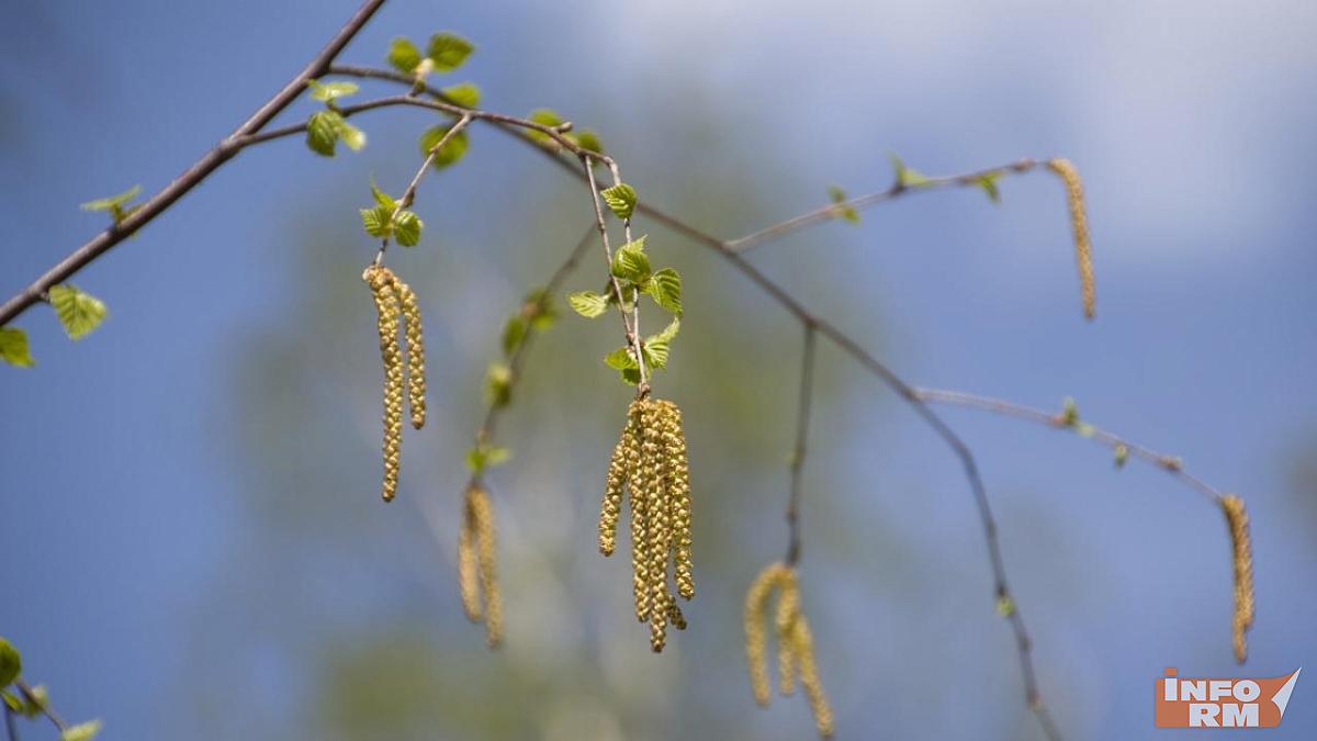 Какая будет весна в 2026 году: новый прогноз 