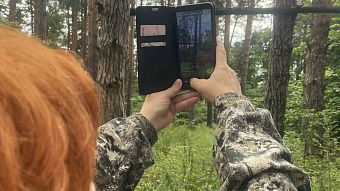 В Краснослободских лесах обследовали пустыри и прогалины