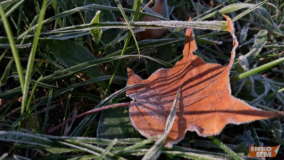 Ночью в европейской части России зафиксировали 20-градусные морозы 