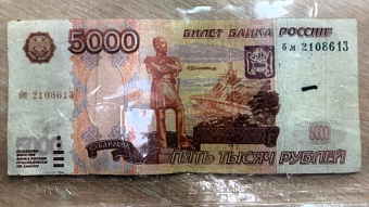 Криминальный дуэт из Саранска осуждён за фальшивки и кражи 