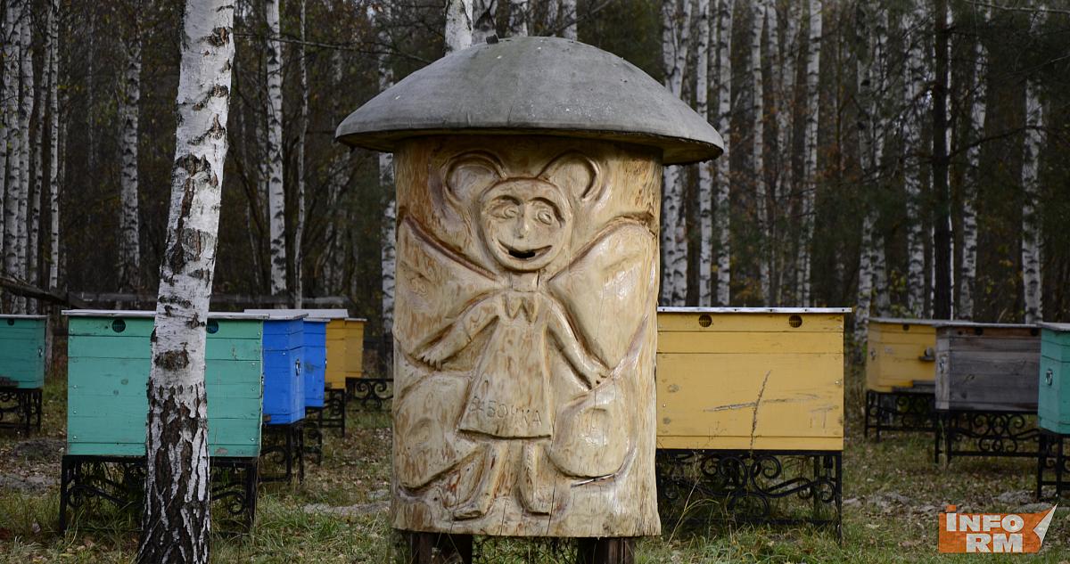 В Мордовии появился уникальный туристический маршрут с дегустацией мёда 