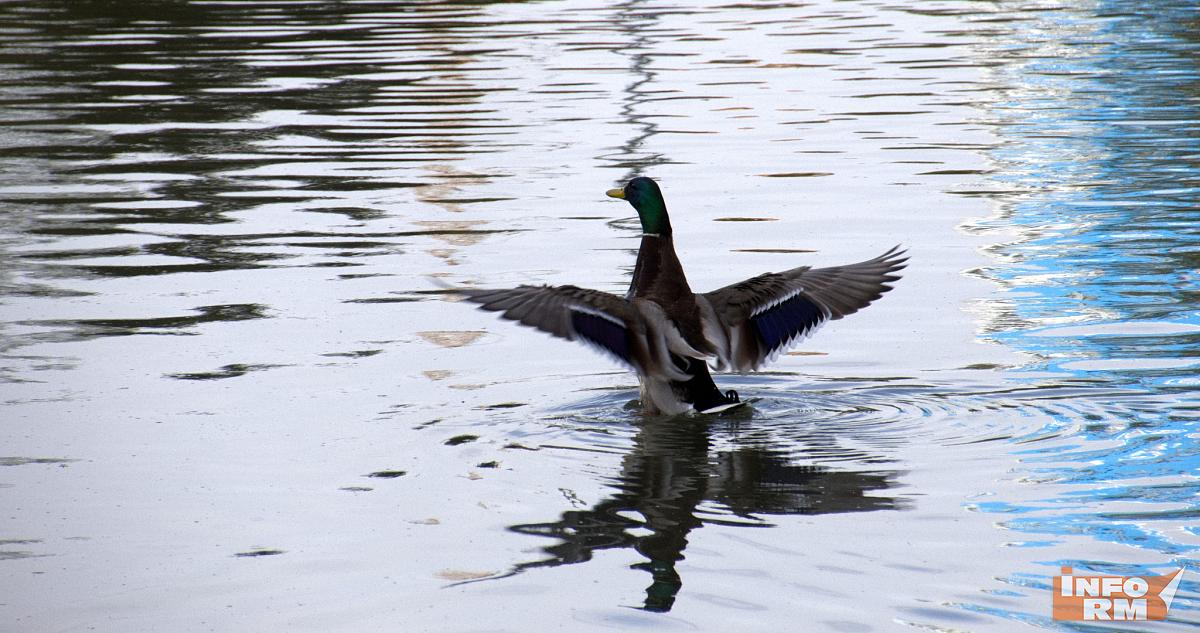 Синоптик рассказал, когда придёт оттепель 