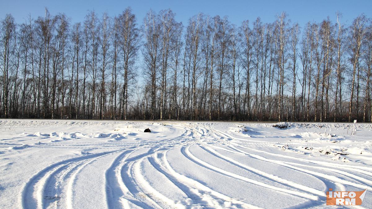 В Мордовии в два раза сократился объём незаконных рубок леса