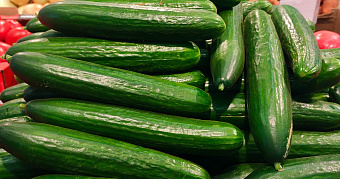 Огурцы в одном из регионов сравнялись в цене с креветками 