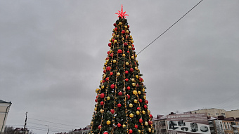 На ёлках Саранска зажгутся огни