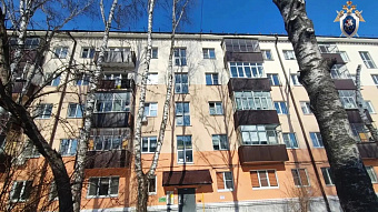 В Саранске за смерть пенсионерки под глыбой льда директора управляйки оштрафовали