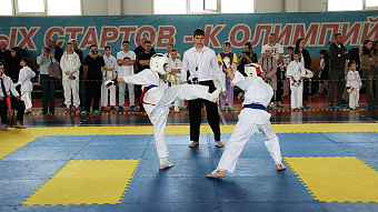 Каратисты Мордовии завоевали медали первенства ПФО