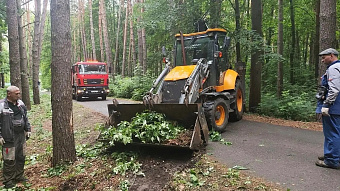 В Саранске более 100 человек убирали Пролетарский лесопарк