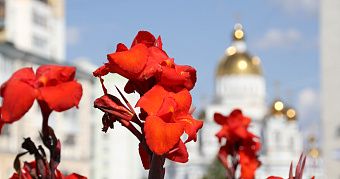 Больше 330 тысяч цветов украсят улицы Саранска 