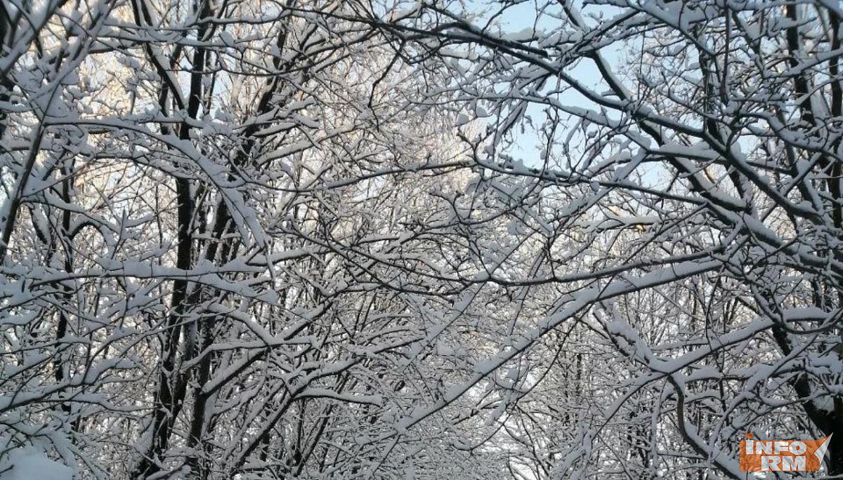 В пятницу в Мордовии подморозит до -20°С
