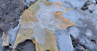 Жителей Мордовии предупреждают о гололедице 