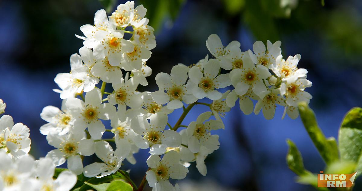 Синоптик рассказал, когда придёт тепло 
