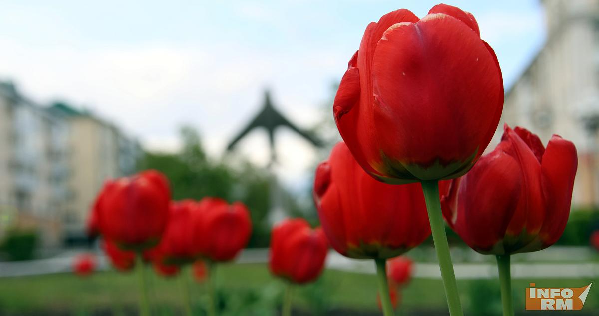 В Саранске будет создан ещё один сквер 