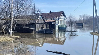 В Мордовии подтоплены более 180 приусадебных участков