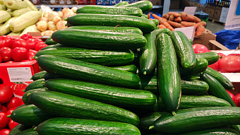 Огурцы в Мордовии – одни из самых дешёвых