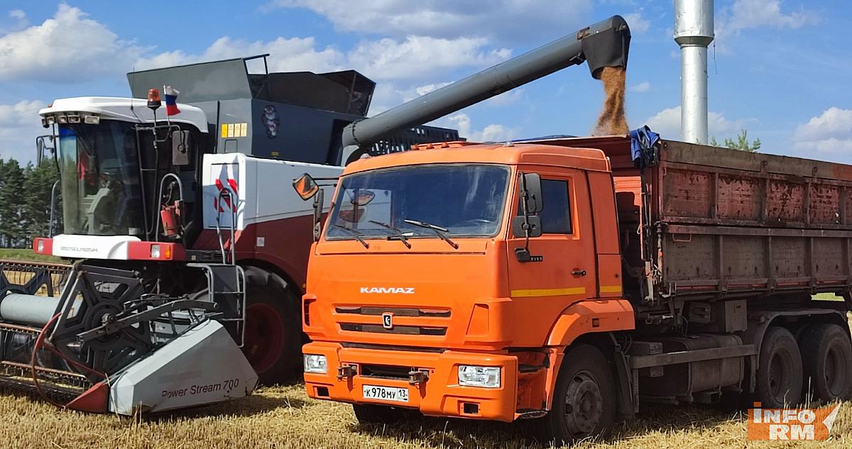 В Мордовии пересчитали посевные площади 