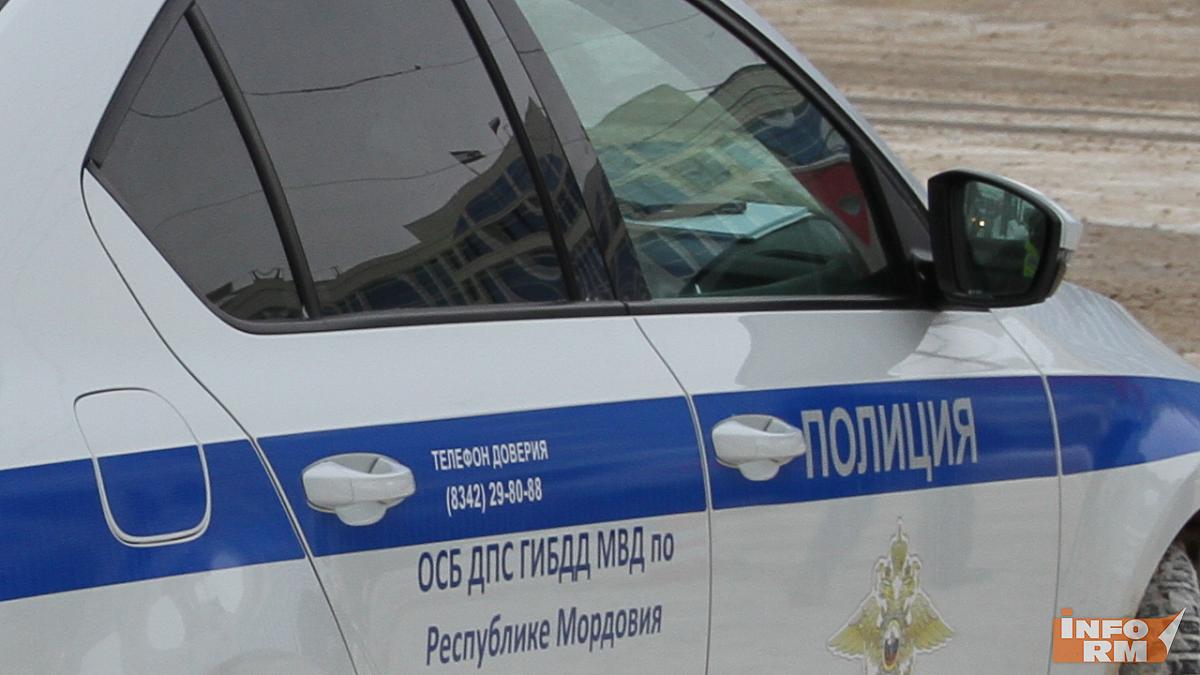 В Мордовии спецбатальон ДПС устроил в Зубово-Полянском районе ещё один рейд 