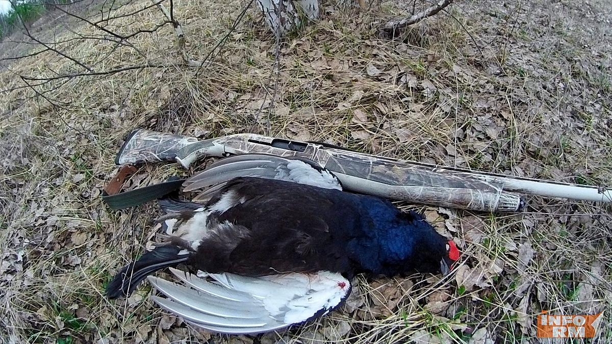 В Мордовии проверили охотников