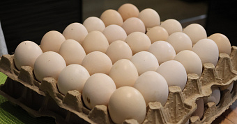 Остриём вниз и не мыть: названы топ-5 правил хранения яиц 