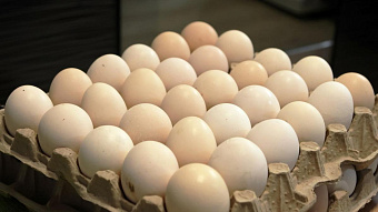 Цены продуктов на предпасхальной ярмарке в Саранске 