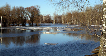 Мордовии и соседним регионам предрекли сильные паводки 