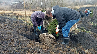 В Саранске появится парк участников СВО