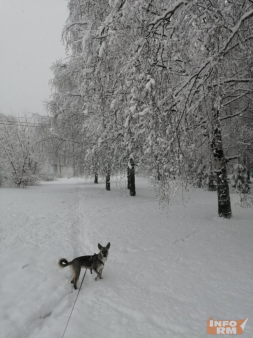 В воскресенье в Мордовии до -2°С