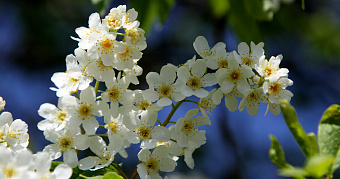 Майские праздники: россиянам напомнили о грядущих выходных 