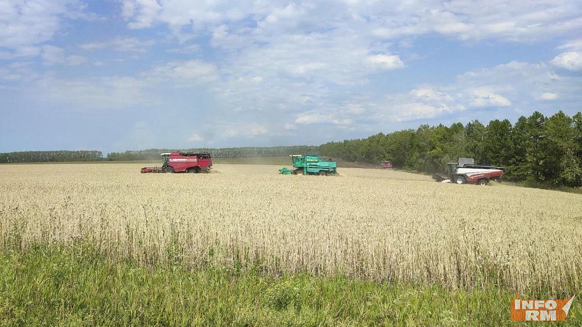В Мордовии Атяшевский район лидирует по валовому сбору зерна 