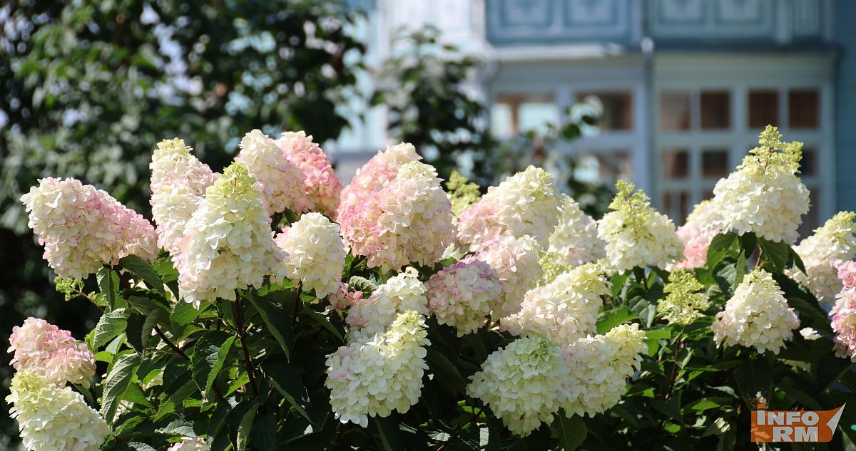 Жители России рассказали, что подарят своим мамам на День матери 