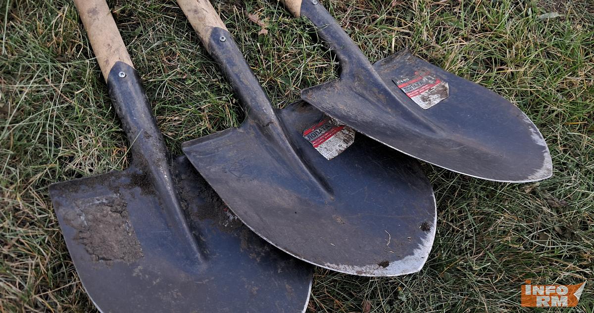 Жителей Саранска приглашают на семейный субботник и посадку деревьев 