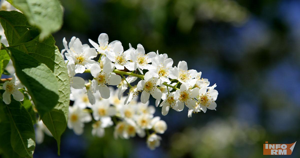 Синоптик рассказал, когда придёт весна в 2026 году 