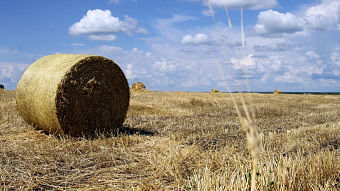 Аграрии Мордовии осваивают агротуризм