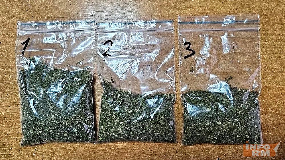 В Мордовии полицейские прикрыли сделку по продаже марихуаны
