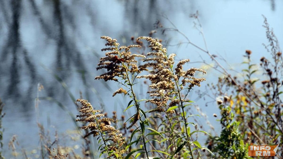 В Мордовии ноябрь 2025 года стал самым тёплым за последние 100 лет