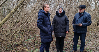 Село в Мордовии вместо зарослей американского клёна получит парк 