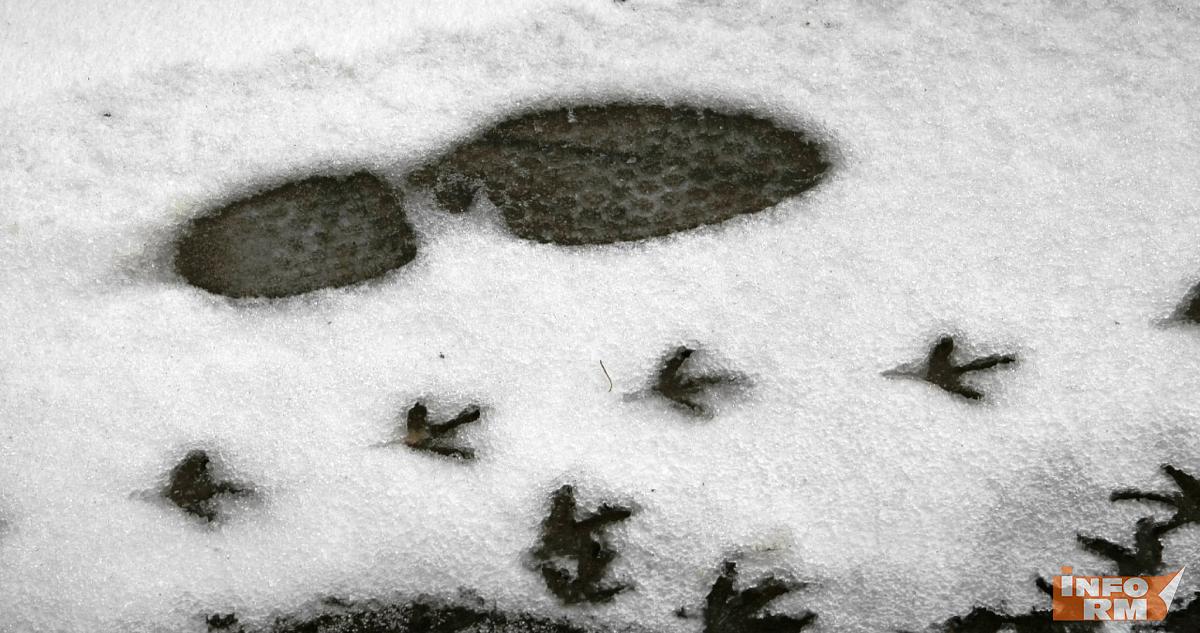 В Мордовии выпал снег 