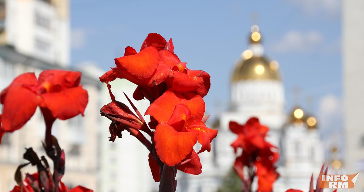 Больше 330 тысяч цветов украсят улицы Саранска 