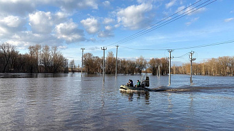 В Саранске затопило экопарк