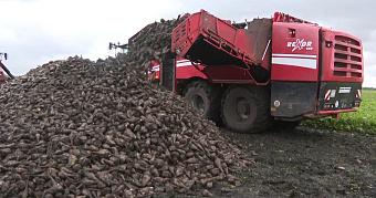 Мордовия продала Великобритании и Германии больше 39 тысяч тонн стружки свеклы 