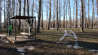 Синоптики рассказали, когда в Мордовии наступит климатическая весна