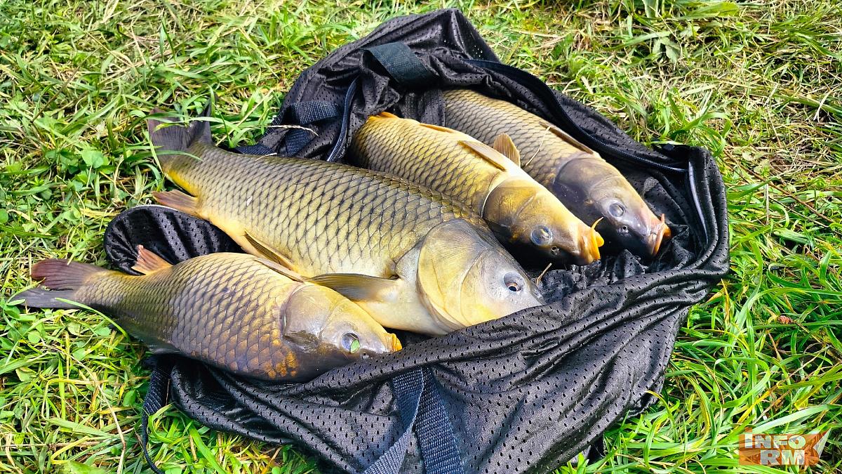 Более 300 кг рыбы поймали спасатели Мордовии на соревнованиях в Липецкой области