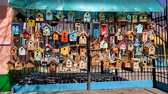 В Саранске выберут лучший скворечник