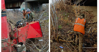 От американского клёна в Рузаевке очистили ещё несколько улиц 