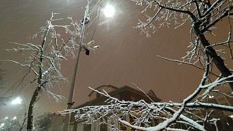 Жителей Мордовии атакует налипший мокрый снег